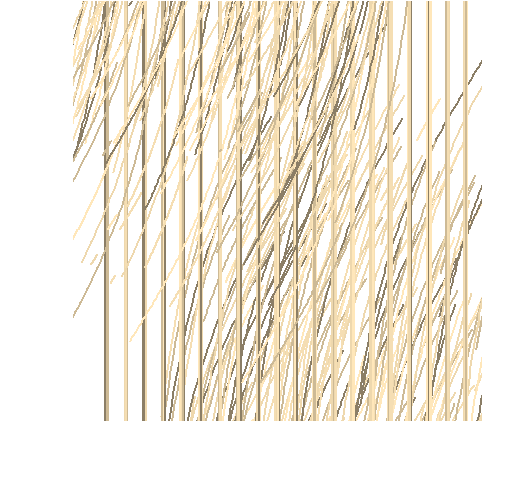 wheatwave9